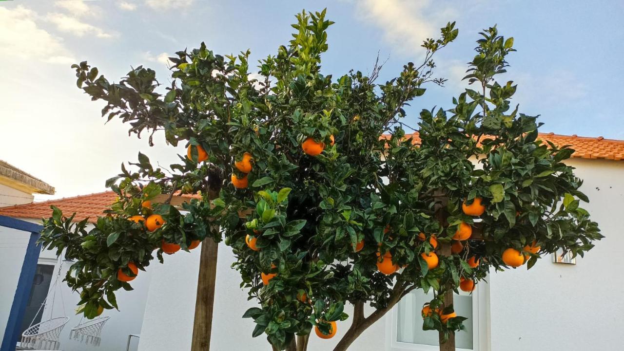 Perto Do Mar, Alojamento Local Gafanha da Boa Hora المظهر الخارجي الصورة